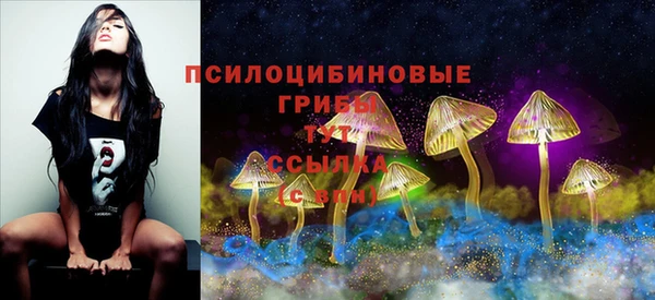 прущие крисы Протвино