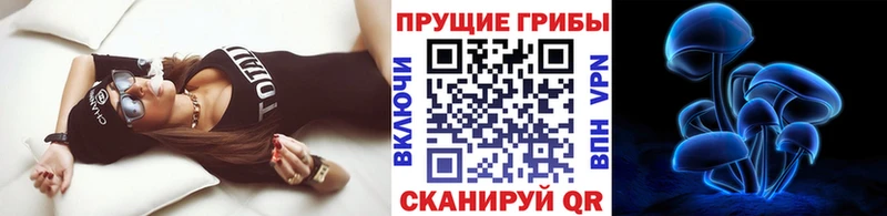 что такое наркотик  Заполярный  Псилоцибиновые грибы GOLDEN TEACHER 